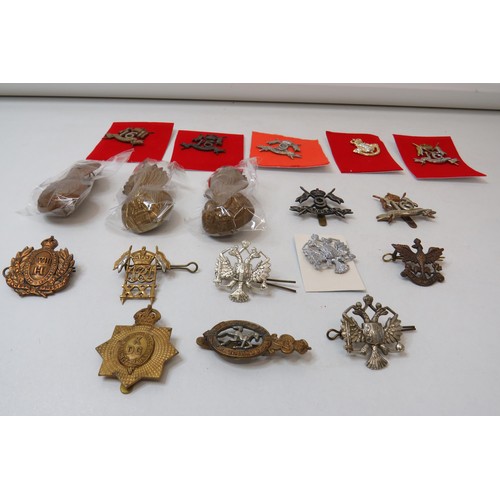 79 - 18 Military Cap/Regimental badges