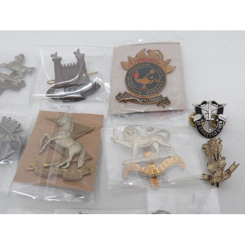 53 - 18 Military Regiment/Cap Badges to Inc 
Kings Liverpool Reg
Gereed Prepared
Wiltshire