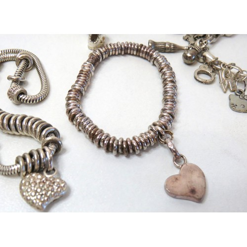 222 - Selection of Fashion Jewellery Charm Bracelets.