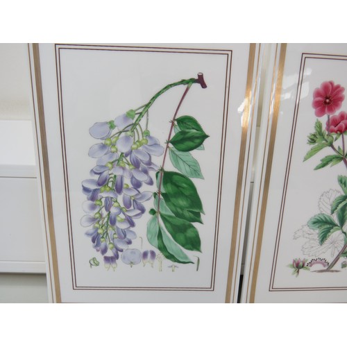 274 - Three Royal Worcester 1980's Botanical Studies wall plaques. 26 x 18cms