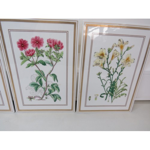 274 - Three Royal Worcester 1980's Botanical Studies wall plaques. 26 x 18cms