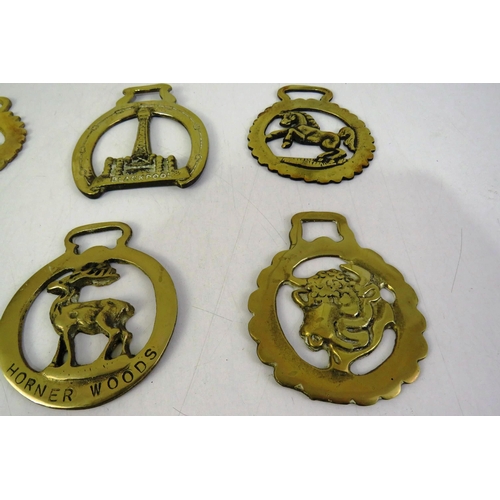 144 - Quantity of horse brasses