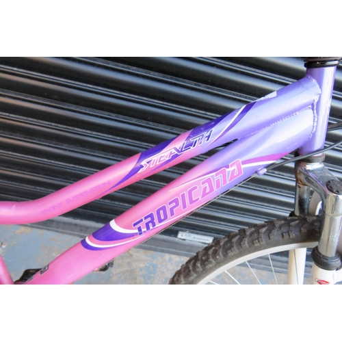 311 - Pink tropicana ladies bike