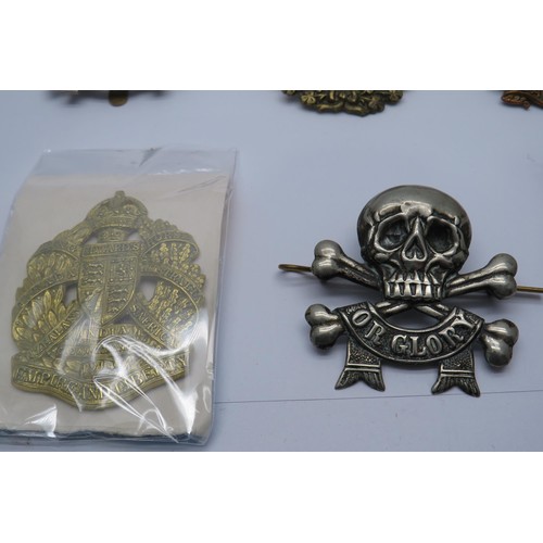 61 - 12 Military cap/Regiment badges