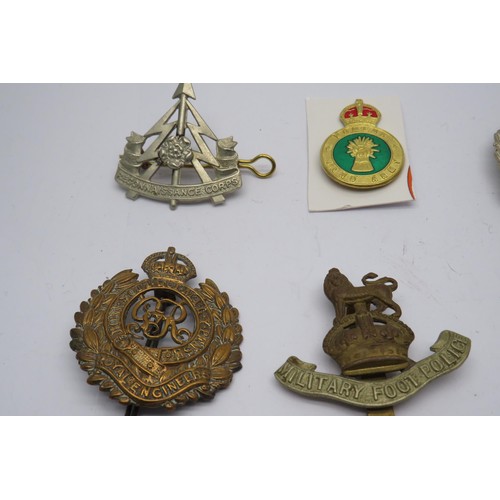 59 - 17 Military cap/Regiment badges