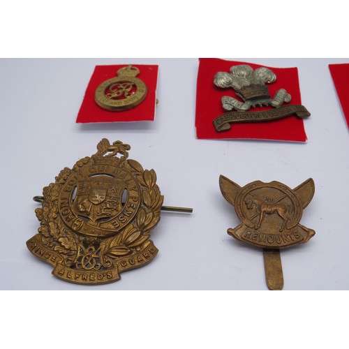 52 - 15 Military Cap/Regiment badges