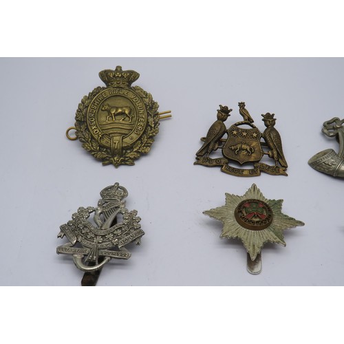 53 - 15 Military Cap/Regiment badges