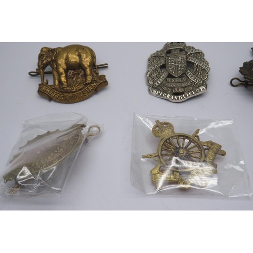 54 - 19 Military Cap/Regiment badges