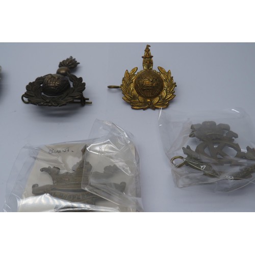 54 - 19 Military Cap/Regiment badges