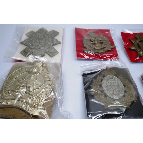 550 - 18 Military cap/Regiment badges