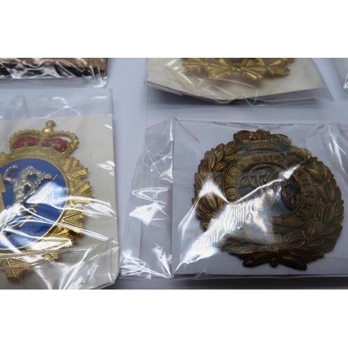 550 - 18 Military cap/Regiment badges