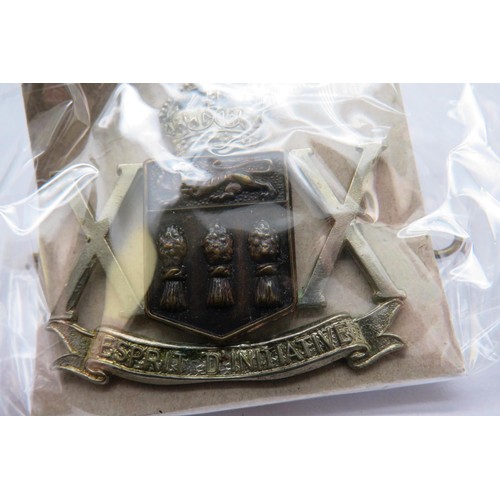 550 - 18 Military cap/Regiment badges