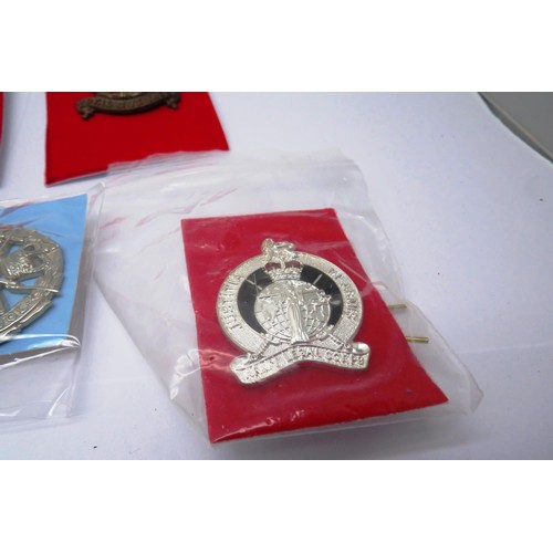 553 - 19 Military cap/Regiment badges