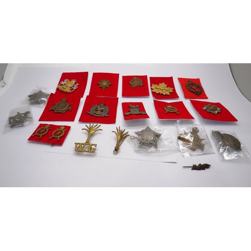 554 - 19 Military cap/Regiment badges