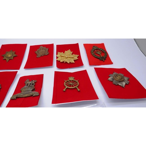 554 - 19 Military cap/Regiment badges