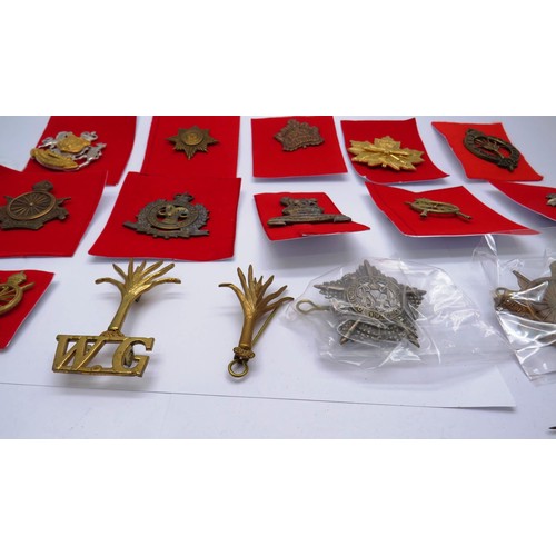 554 - 19 Military cap/Regiment badges