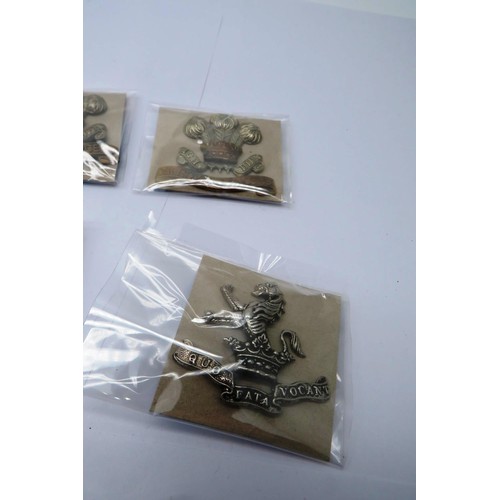 555 - 17 Military cap/Regiment badges