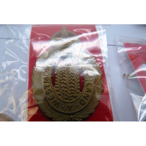 556 - 18 Military cap/Regiment badges