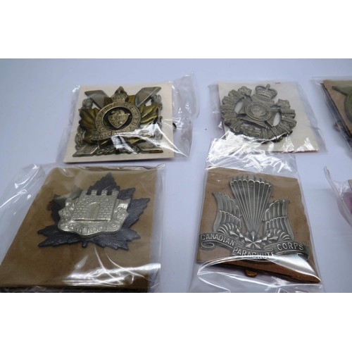 557 - 17 Military cap/Regiment badges