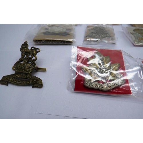 557 - 17 Military cap/Regiment badges