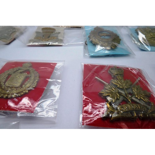 557 - 17 Military cap/Regiment badges