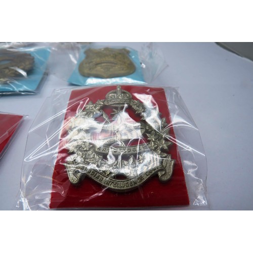 557 - 17 Military cap/Regiment badges