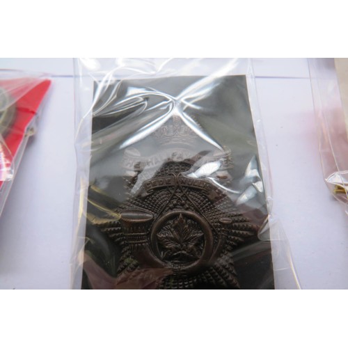 557 - 17 Military cap/Regiment badges