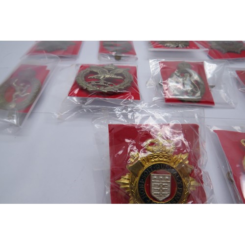 558 - 18 Military cap/Regiment badges