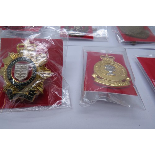 558 - 18 Military cap/Regiment badges