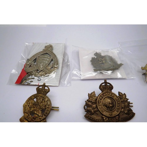 559 - 18 Military cap/Regiment badges