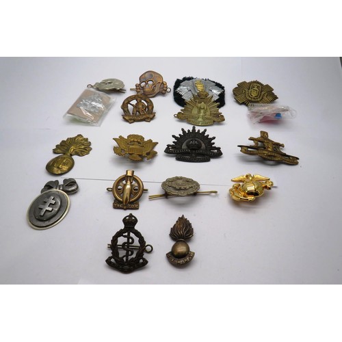 560 - 18 Military cap/Regiment badges