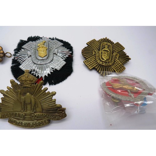 560 - 18 Military cap/Regiment badges