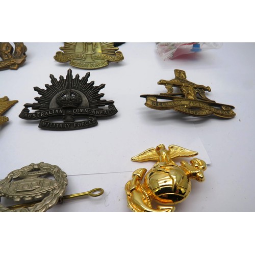 560 - 18 Military cap/Regiment badges