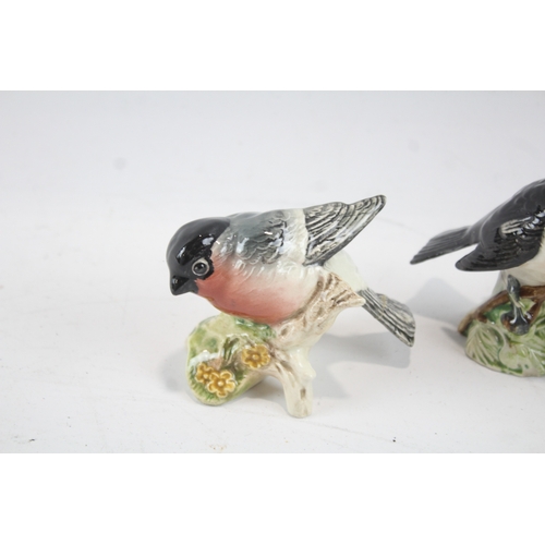 50 - Beswick Ornaments Cat Birds Porcelain Collectables