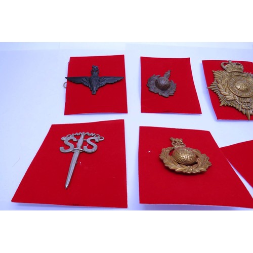 23 - 18 Military cap/Regiment badges