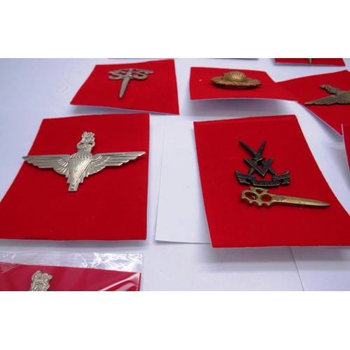 23 - 18 Military cap/Regiment badges