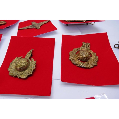 23 - 18 Military cap/Regiment badges