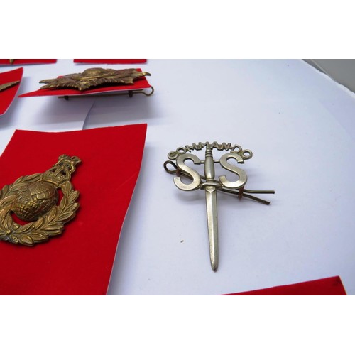 23 - 18 Military cap/Regiment badges