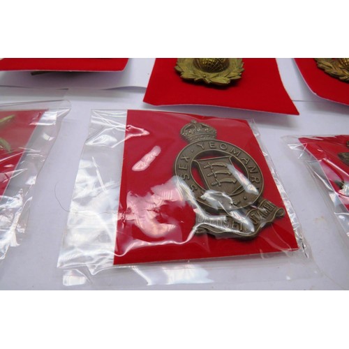 23 - 18 Military cap/Regiment badges