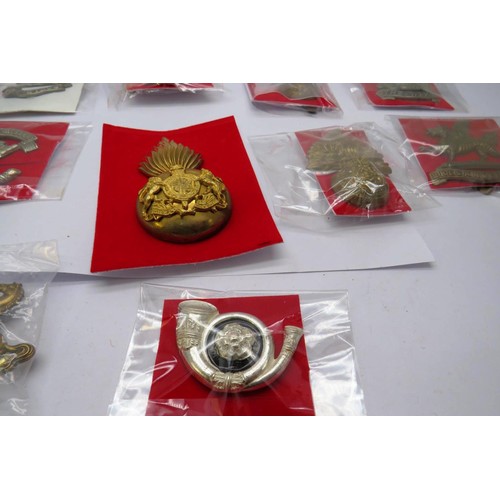 24 - 18 Military cap/Regiment badges