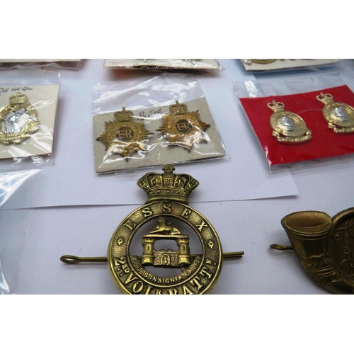 25 - 34 Military cap/Regiment badges