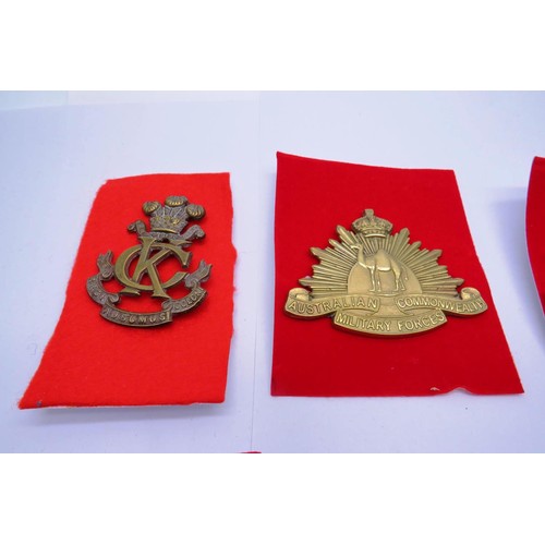 26 - 19 Military cap/Regiment badges