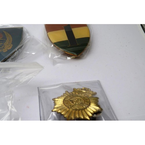 28 - 18 Military cap/Regiment badges