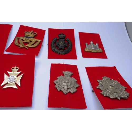 29 - 18 Military cap/Regiment badges