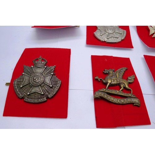 29 - 18 Military cap/Regiment badges