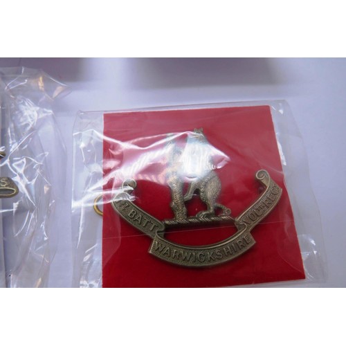 29 - 18 Military cap/Regiment badges