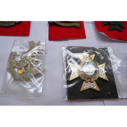 29 - 18 Military cap/Regiment badges