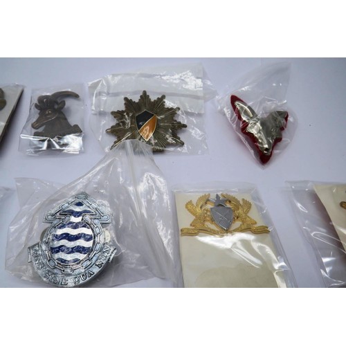 31 - 18 Military cap/Regiment badges