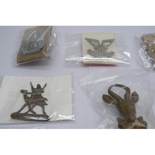 32 - 19 Military cap/Regiment badges