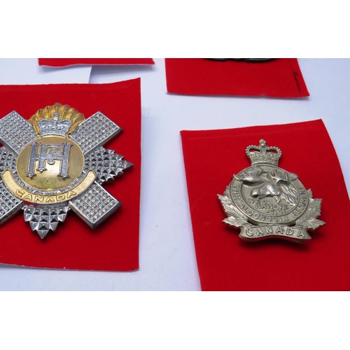 38 - 13 Military cap/Regiment badges